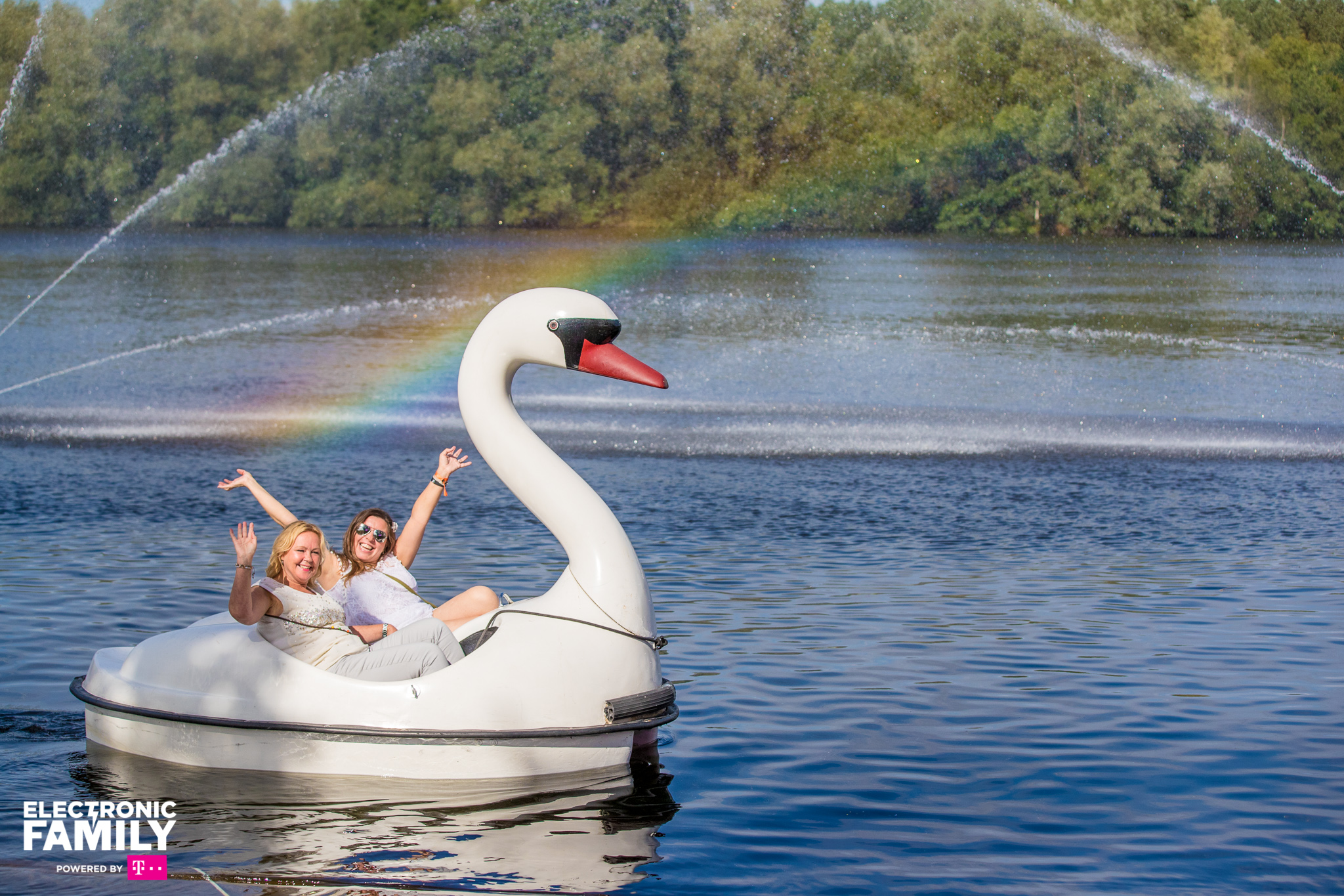 Electronic Family 2017 (12)