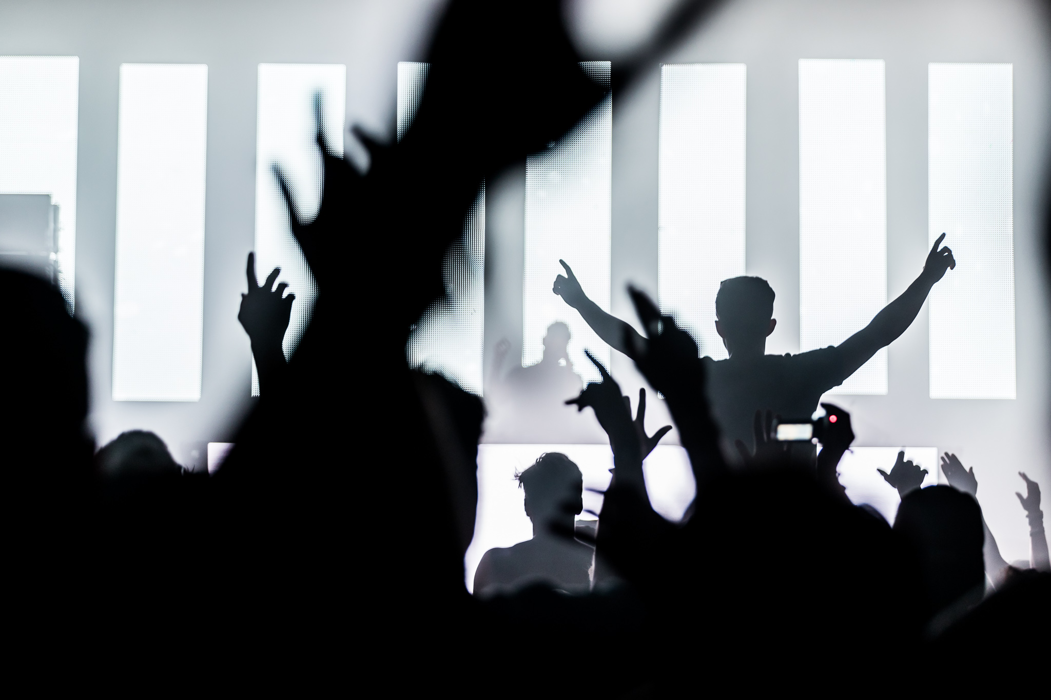 Electronic Family 2017 (24)