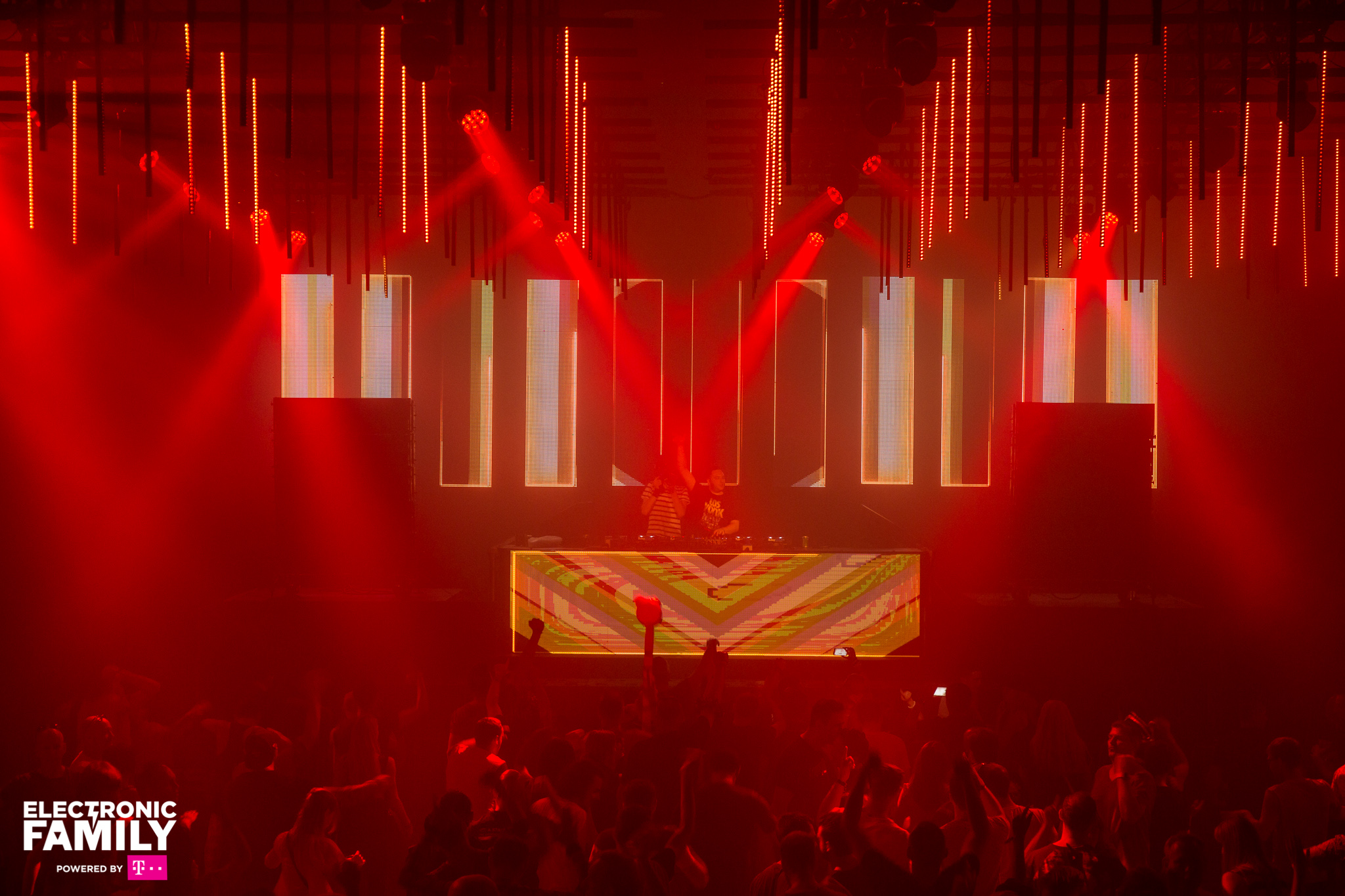 Electronic Family 2017 (3)