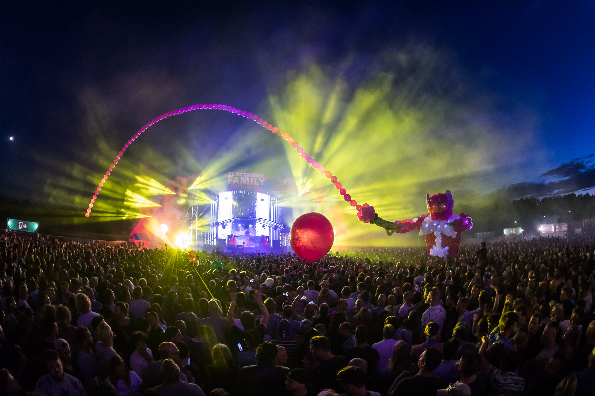 Electronic Family 2017 (9)